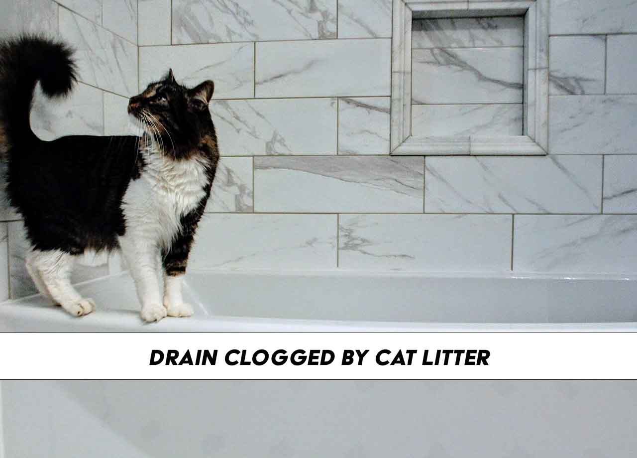 cat littering causing drain clogged